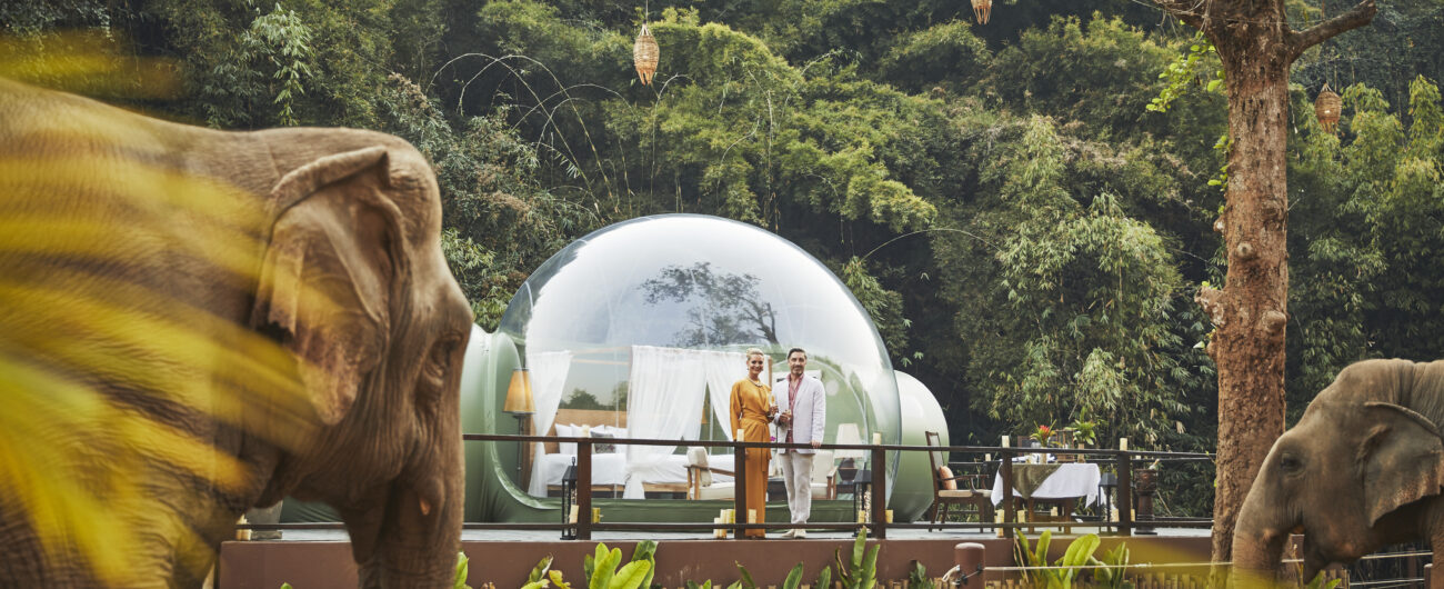 Anantara_Golden_Triangle_Elephant_Camp_And_Resort_Guest_Room_Jungle_Bubbles_Terrace_Couple_Elephants-6582×4388